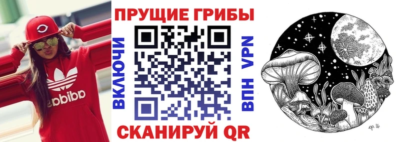 Галлюциногенные грибы GOLDEN TEACHER  OMG ссылки  Снежногорск 